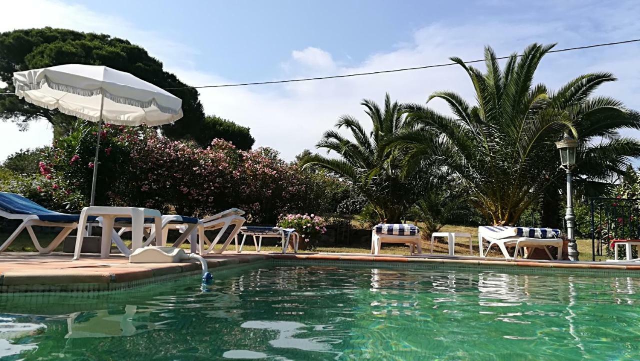 1321 Route De L'Escalet Villa Les Oliviers Ramatuelle Eksteriør billede