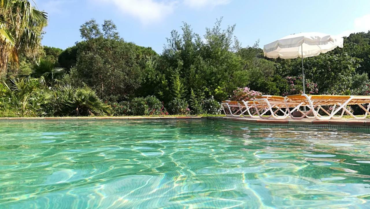 1321 Route De L'Escalet Villa Les Oliviers Ramatuelle Eksteriør billede